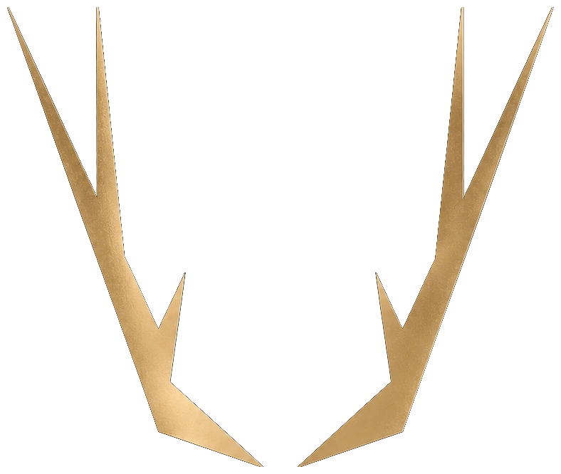 Rich Energy